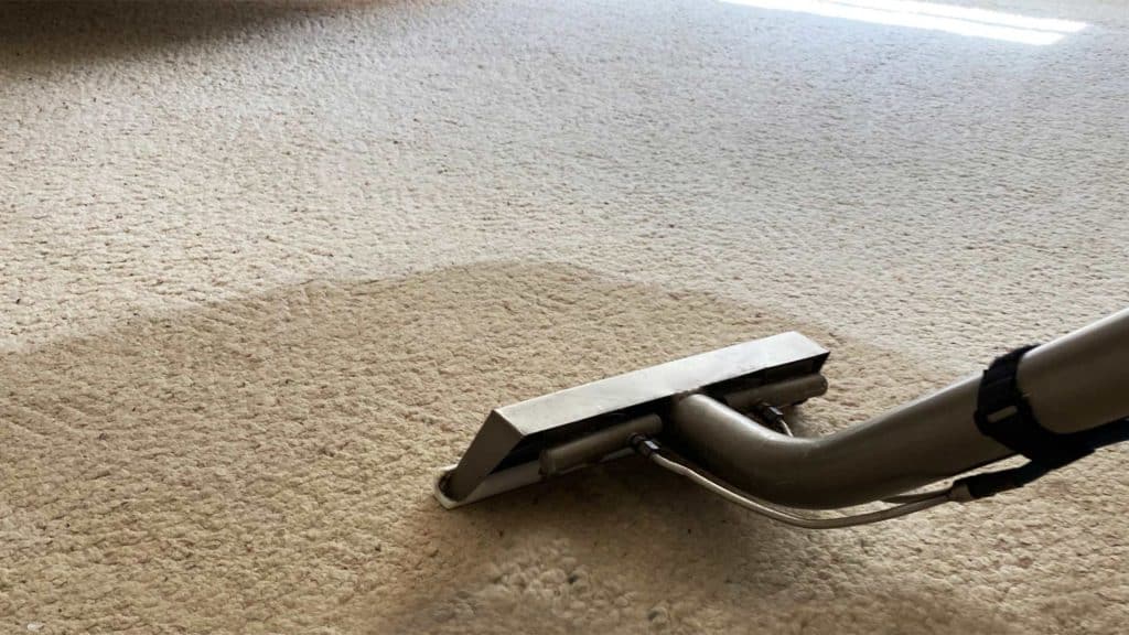 carpet cleaning