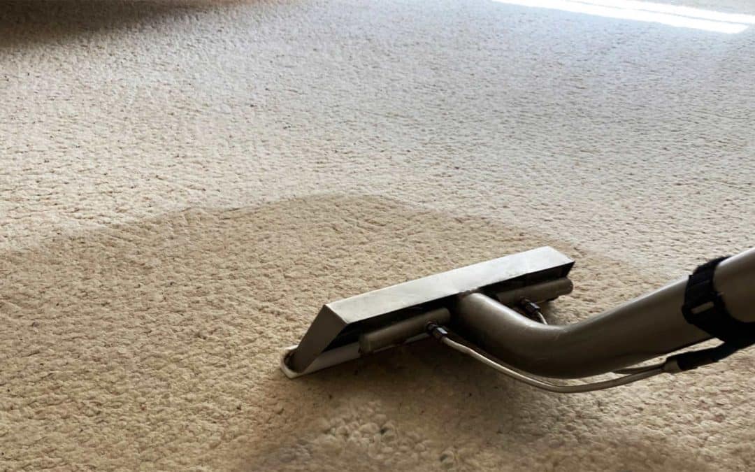 What Is the Best Carpet Care After the Holidays?