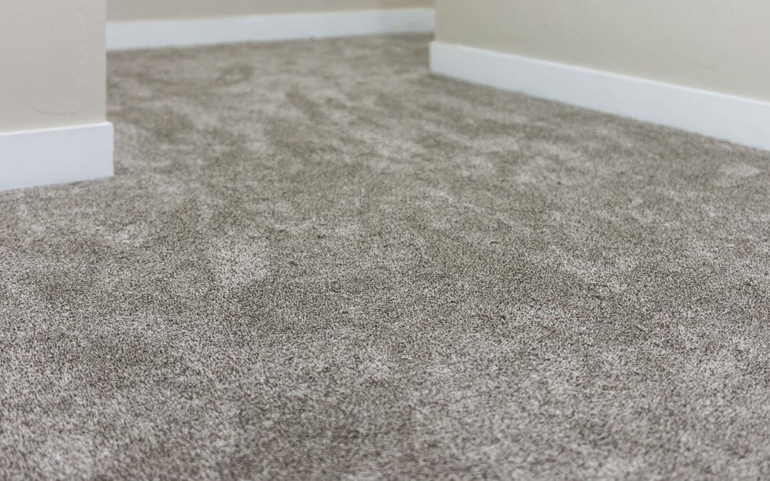 new warm grey carpet